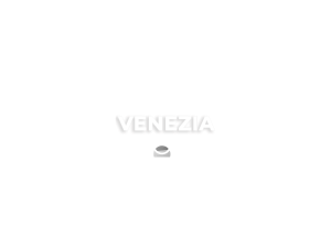 BEST FIRST TIME DIRECTOR white