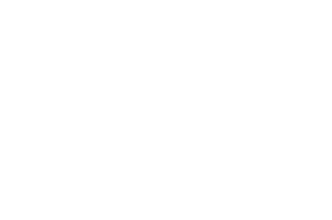 OFFICIAL SELECTION – Arthouse Festival of Beverly Hills – 2021