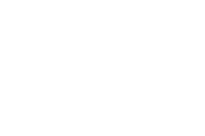 OFFICIAL SELECTION – VSTERS FILMFESTIVAL – 2021