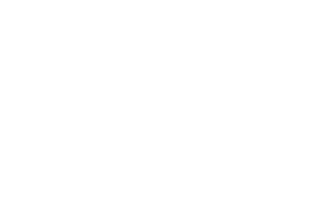 OFFICIAL SELECTION – Vsters Filmfestival – 2021-1