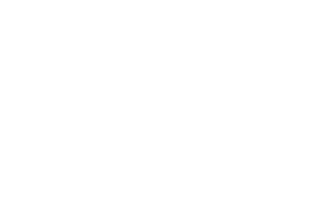 OFFICIAL_SELECTION