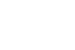 OFFICIAL SELECTION – VENEZIA SHORTS ITALY – 2021